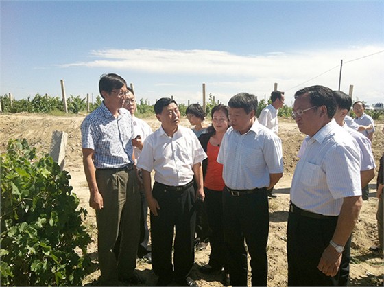 2012年，時任原國土資源部部長徐紹史（前排右二）視察威龍公司