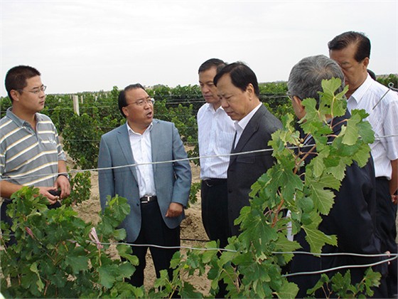 2012年，時(shí)任國(guó)務(wù)院副秘書長(zhǎng)焦煥成（左四）視察威龍公司