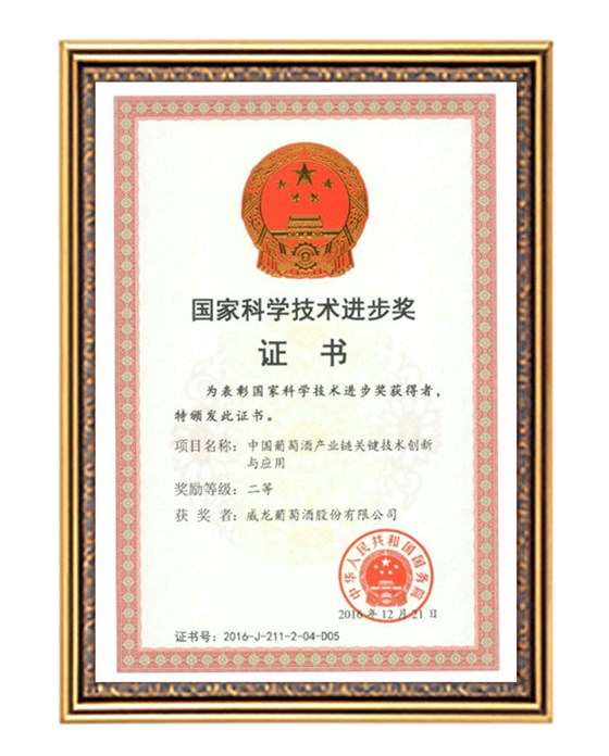 國家科技進(jìn)步獎(jiǎng)二等獎(jiǎng)