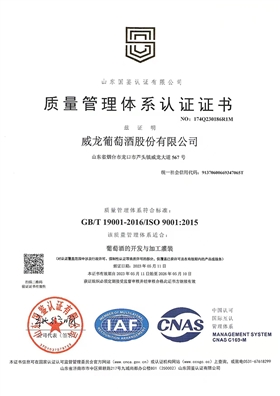 質(zhì)量管理體系證書01