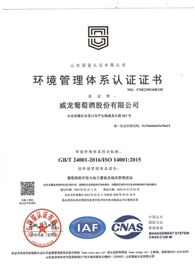 環(huán)境管理體系證書01
