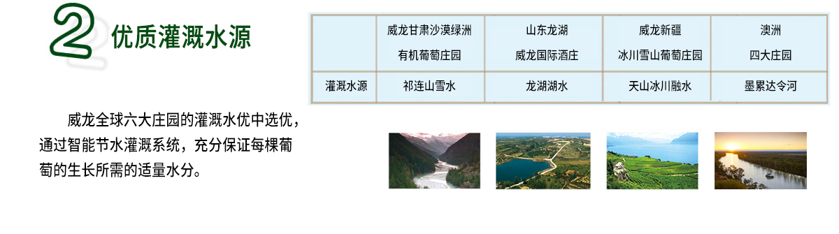 威龍葡萄酒技術體系