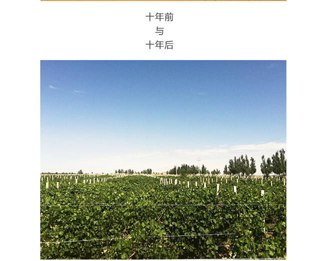  社會(huì)公益
