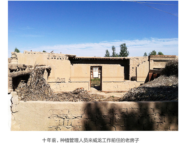  社會(huì)公益