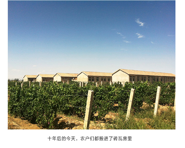  社會(huì)公益