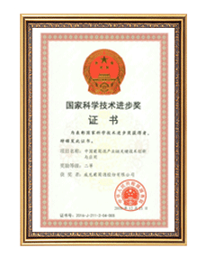 國家科學(xué)技術(shù)進步獎