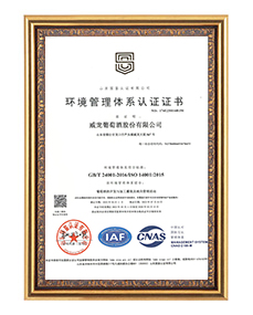 環(huán)境管理體系認證
