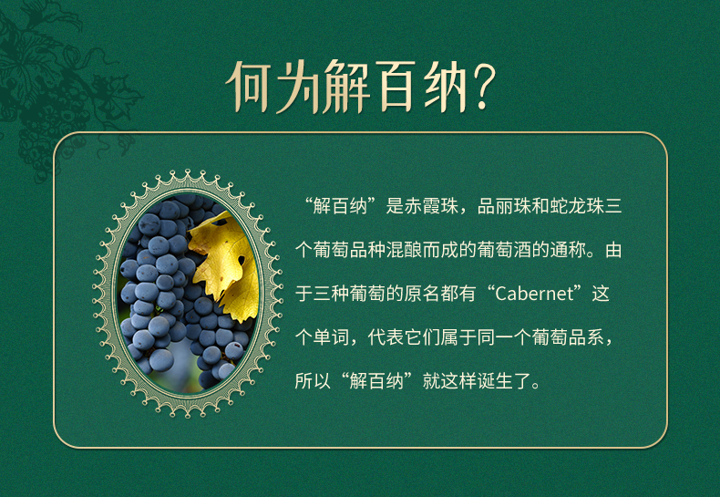 解百納詳情_04